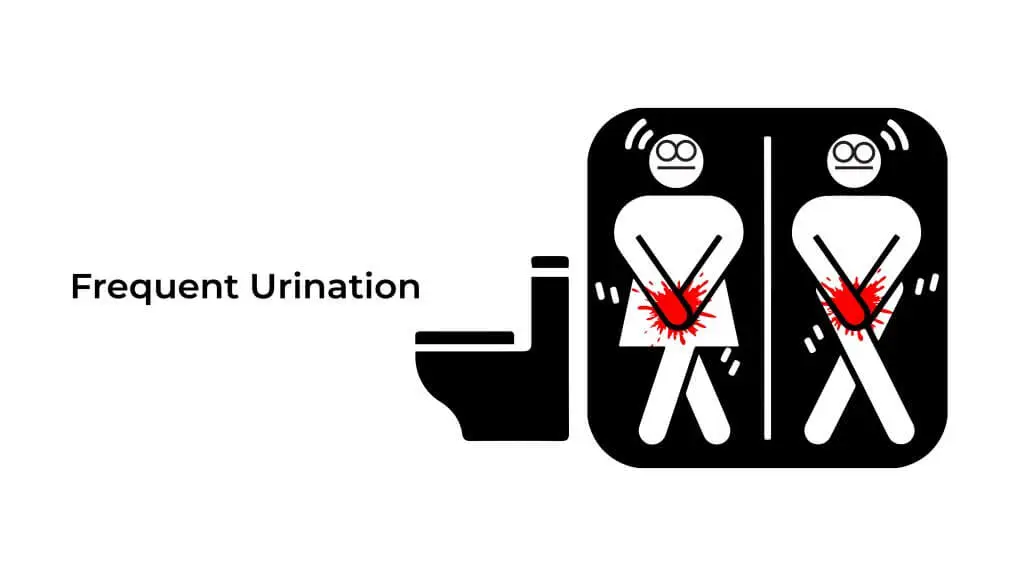 Frequent-Urination-01-1024x576