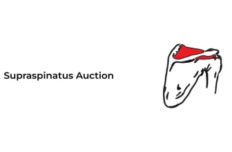 Supraspinatus-Action-01-1024x576